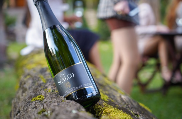 Foto Rota Encosta do Vinho